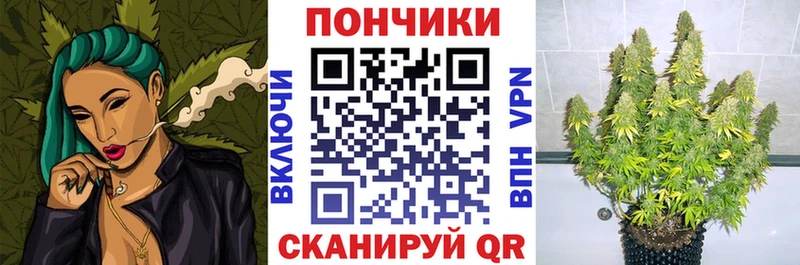 Конопля ГИДРОПОН  Котельники 